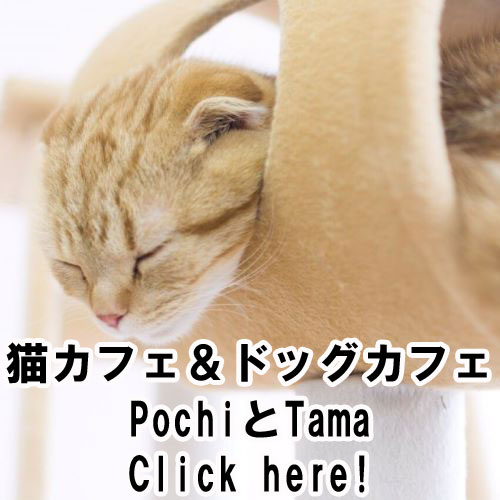 猫カフェ＆ドッグカフェ PochiとTama