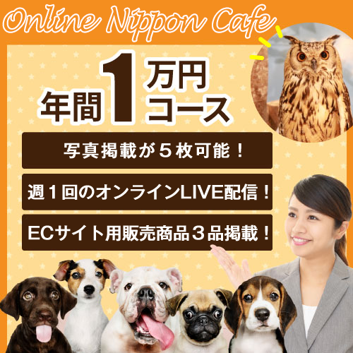 有料年間１万円コース