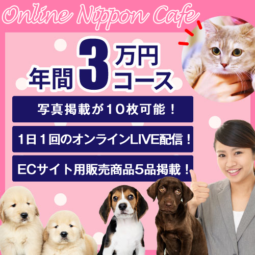有料年間3万円コース