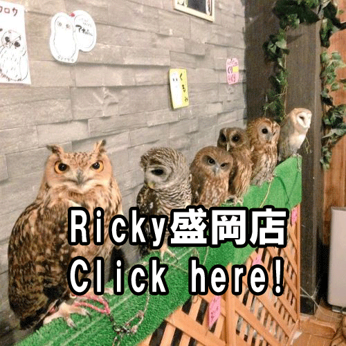 cafe owl RICKY 盛岡店 RickyMoriokaten