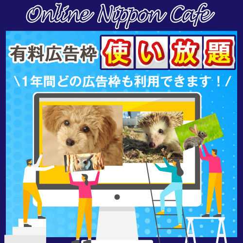 有料広告年間使い放題コース