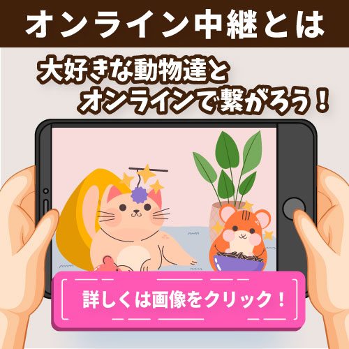 オンラインニッポンカフェの特徴、オンライン中継とは