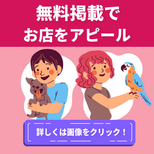 ニッポンカフェアピール利点、無料でアピール