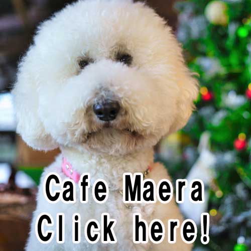 Cafe Maera