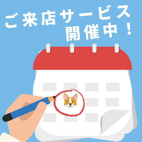 ニッポンカフェ来店サービス利点、たくさんのサービスを展開