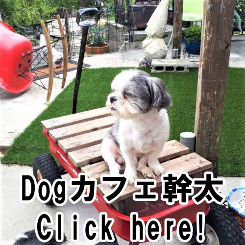 Dogカフェ幹太 DogCafeKanta