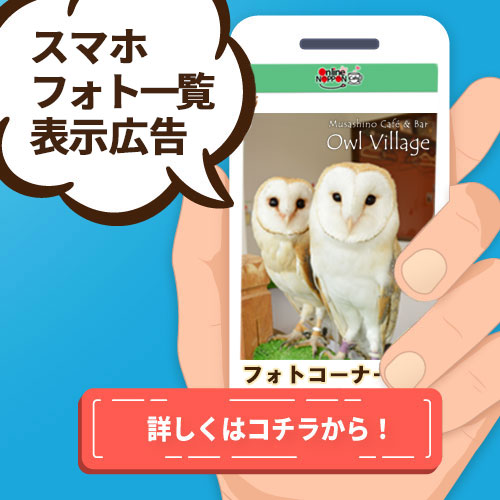 アニマルポイント有料、スマホ誘導フォト一覧