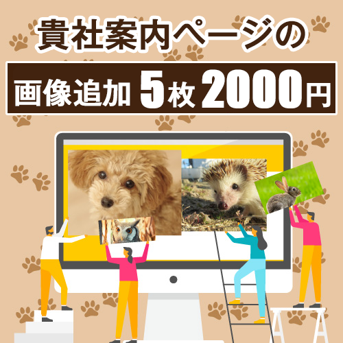 5 画像追加2000円