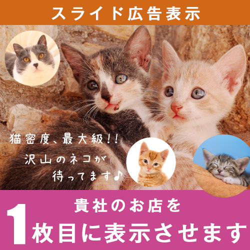 アプリ版スライド広告１位表示
