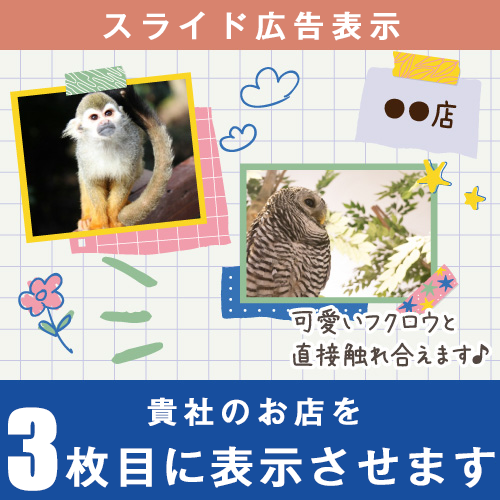 アプリ版スライド広告３位表示