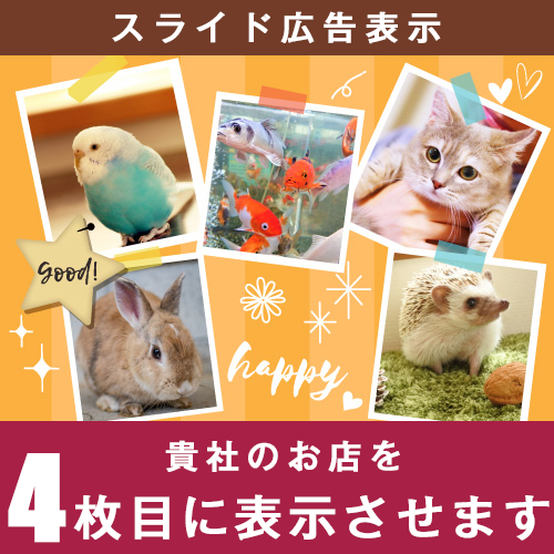 アプリ版スライド広告４位表示
