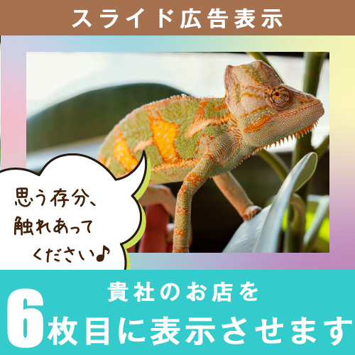 アプリ版スライド広告６位表示