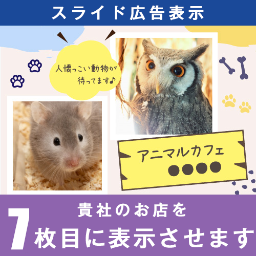 アプリ版スライド広告７位表示
