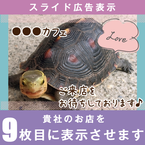 アプリ版スライド広告９位表示