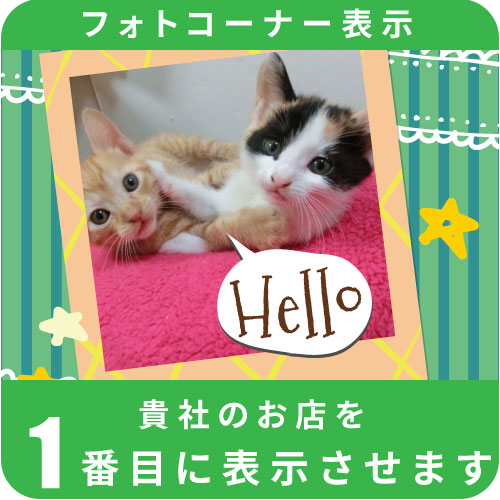 フォトコーナー表示1位