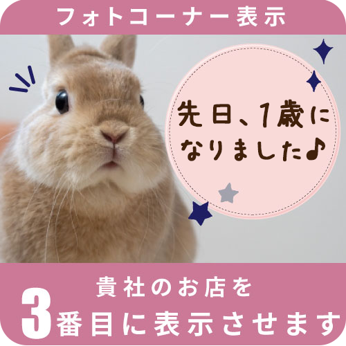フォトコーナー表示3位
