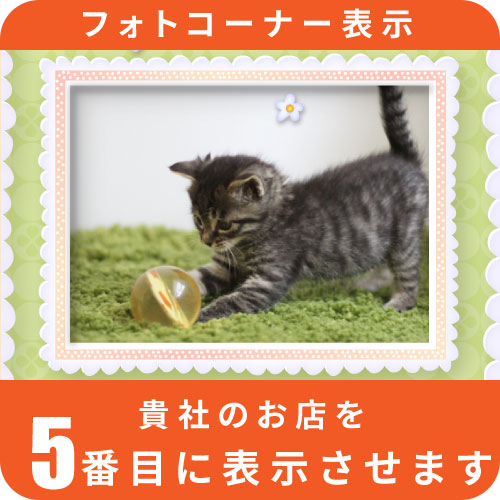 フォトコーナー表示5位