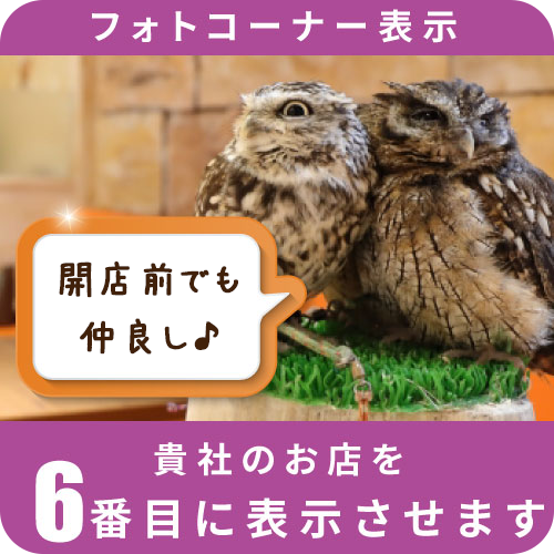 フォトコーナー表示6位