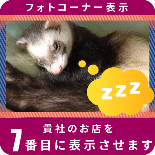 フォトコーナー表示7位