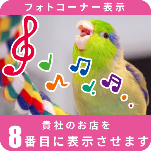フォトコーナー表示8位