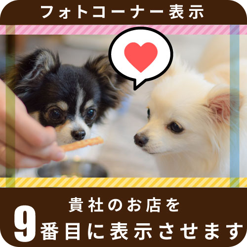 フォトコーナー表示9位