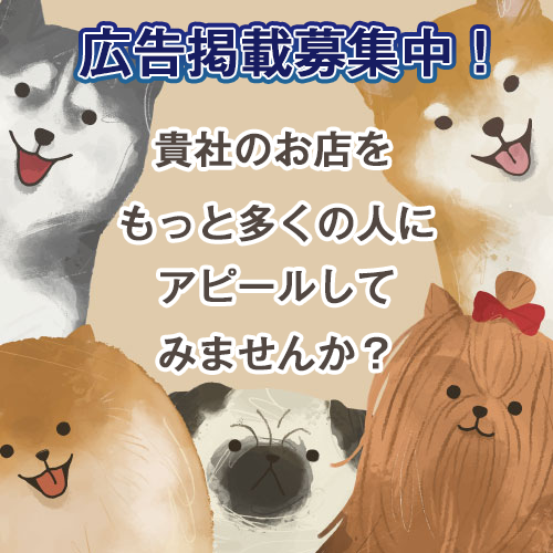 ECサイトでwebショップを開設しよう