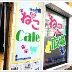 19Cat'scafe　CatCafeNekohiroba