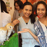 Guide photo of Owl Cafe Harajuku001