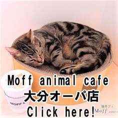 Moff animal cafe 大分オーパ店Moff animal cafe OitaOpaten