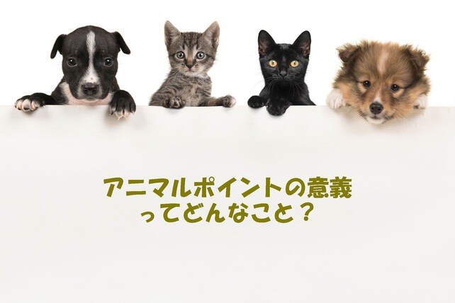 アニマルポイント活用、意義バーナー①