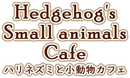 Hedgehog's & small animals cafe top