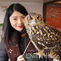 Guide photo of Owl Cafe Harajuku003