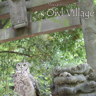 Guide photo of Owl Cafe Harajuku002