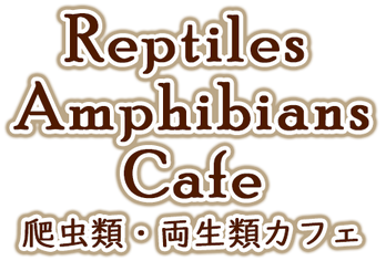 reptile's cafe top