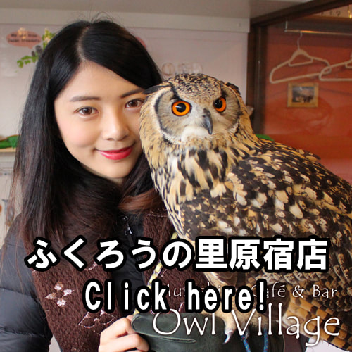 Guide photo of Owl Cafe Harajuku007