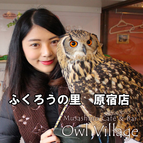 ふくろうとお客様触れ合い写真２