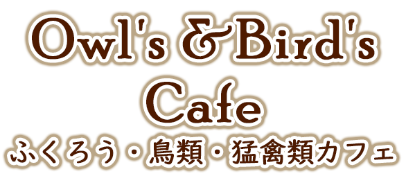 Owl's & Bird's cafe top