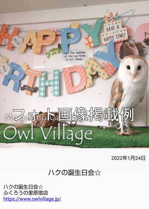 フォトコーナー掲載例
