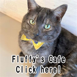 Fluffy’s cafe