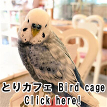とりカフェ Bird cage BirdCafeBirdCage