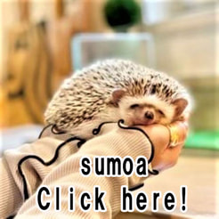 sumoa スモア