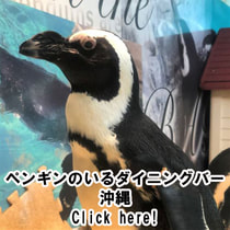 ペンギンのいるダイニングバー沖縄 DINING BAR with PENGUINs-OKINAWA